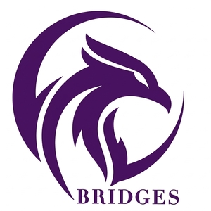 Team Page: Bridges School